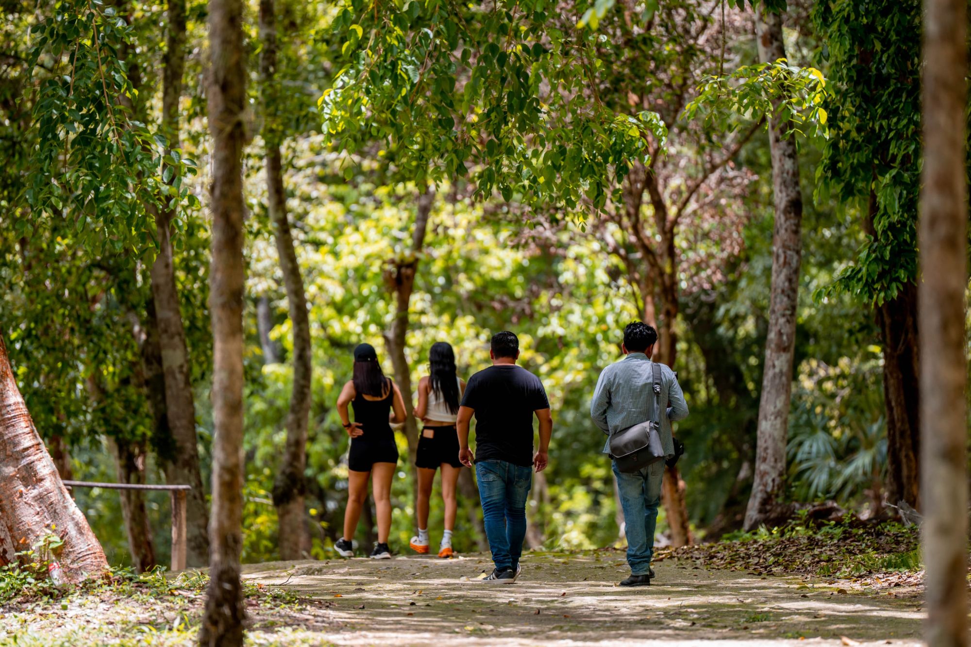Grupo de personas caminando por un sendero en la selva